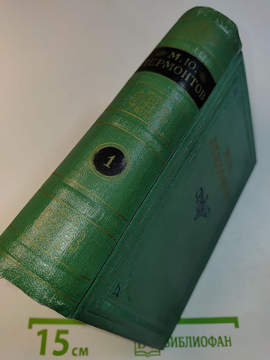 Стихотворения. Том первый. 1828-1841
