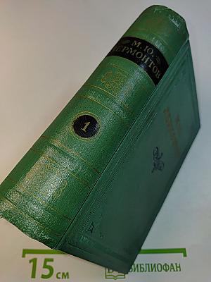 Стихотворения. Том первый. 1828-1841