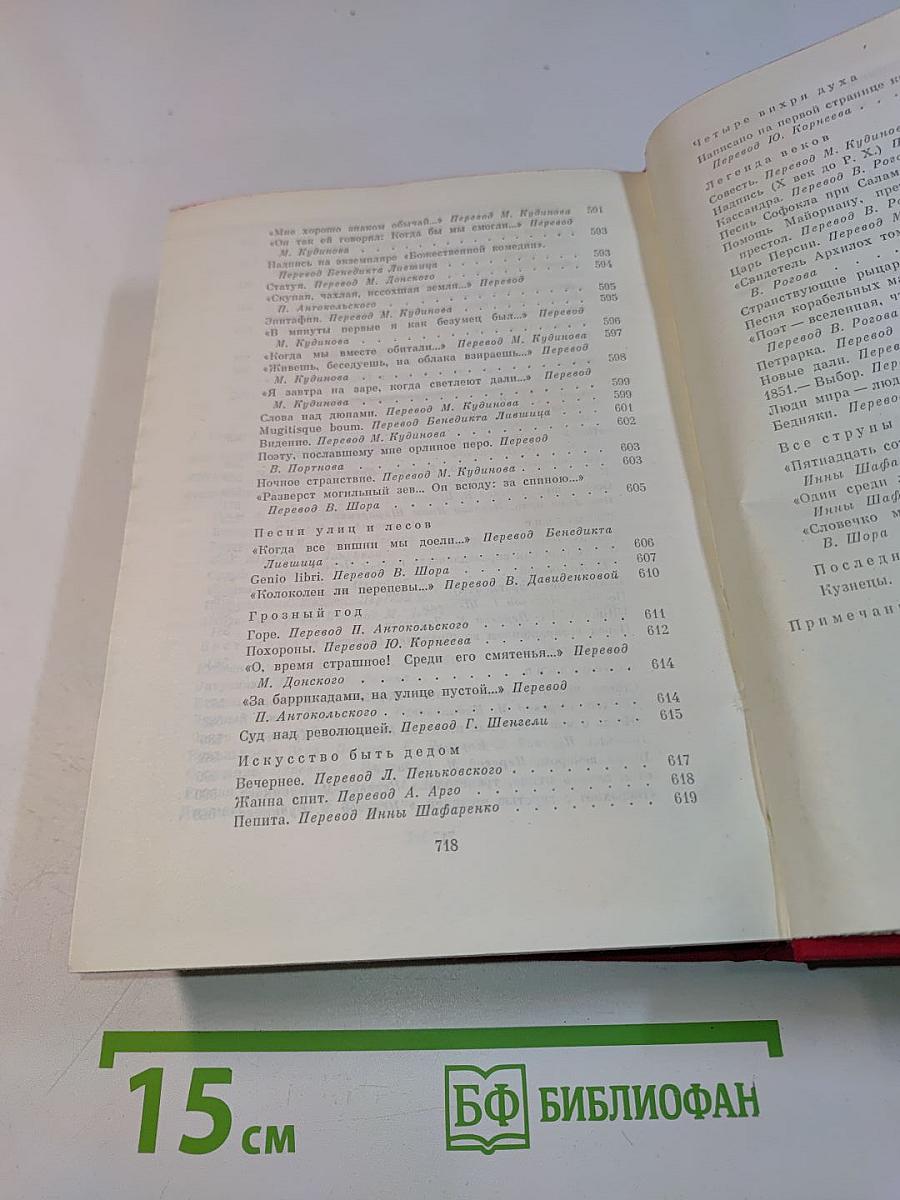 Библиотека всемирной литературы. Серия вторая. Литература XIX века. Том 13