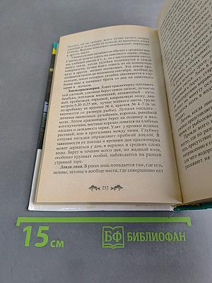 Летняя рыбалка