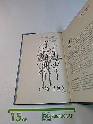 За журавлями