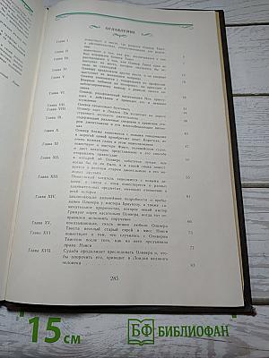 Приключения Оливера Твиста