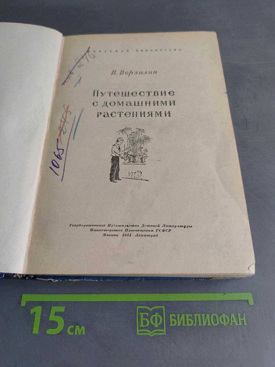 Путешествие с домашними растениями
