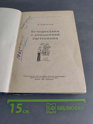 Путешествие с домашними растениями