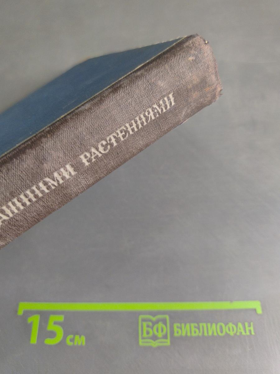 Путешествие с домашними растениями