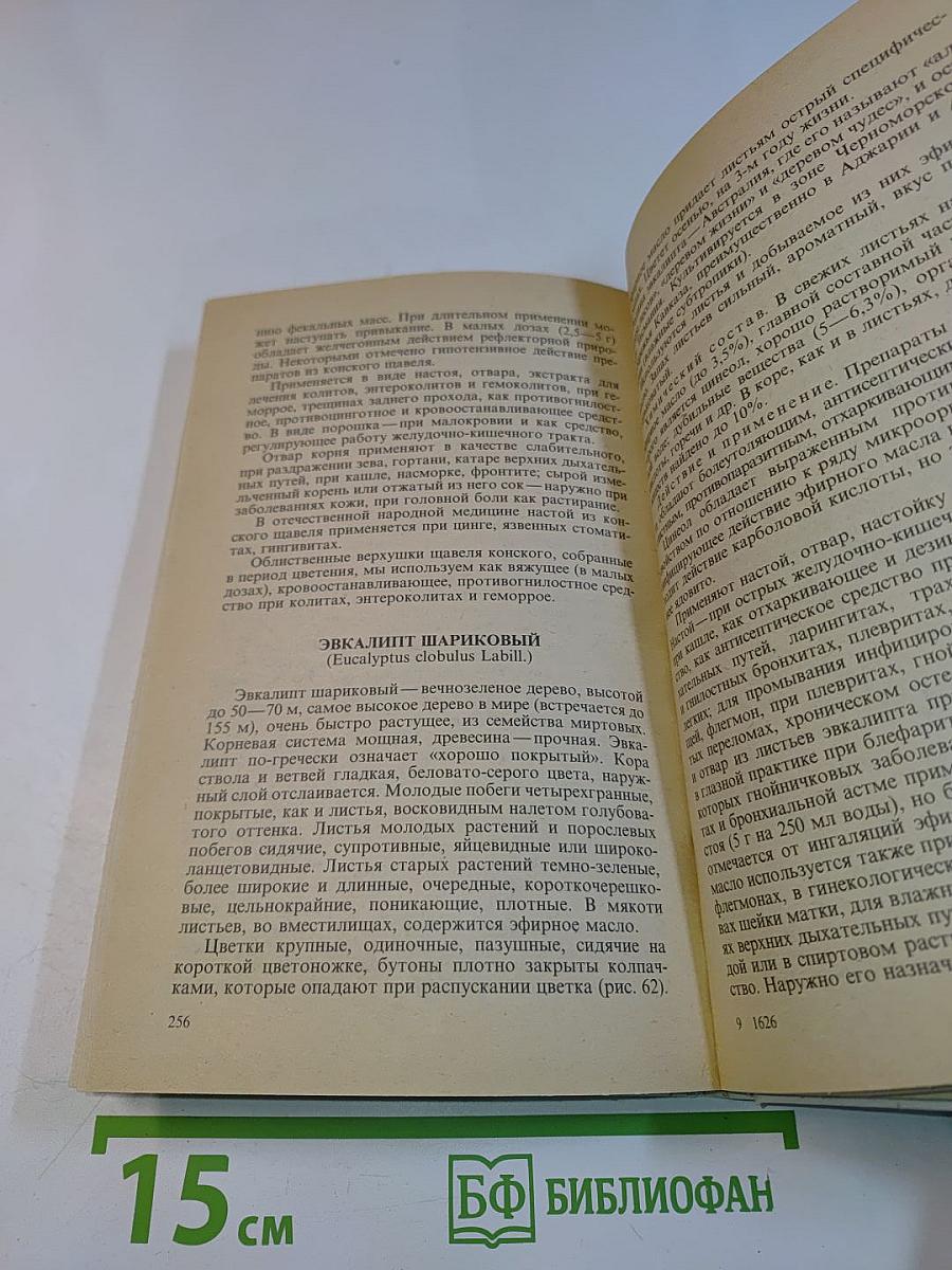 Лечение растениями