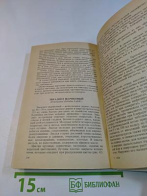 Лечение растениями