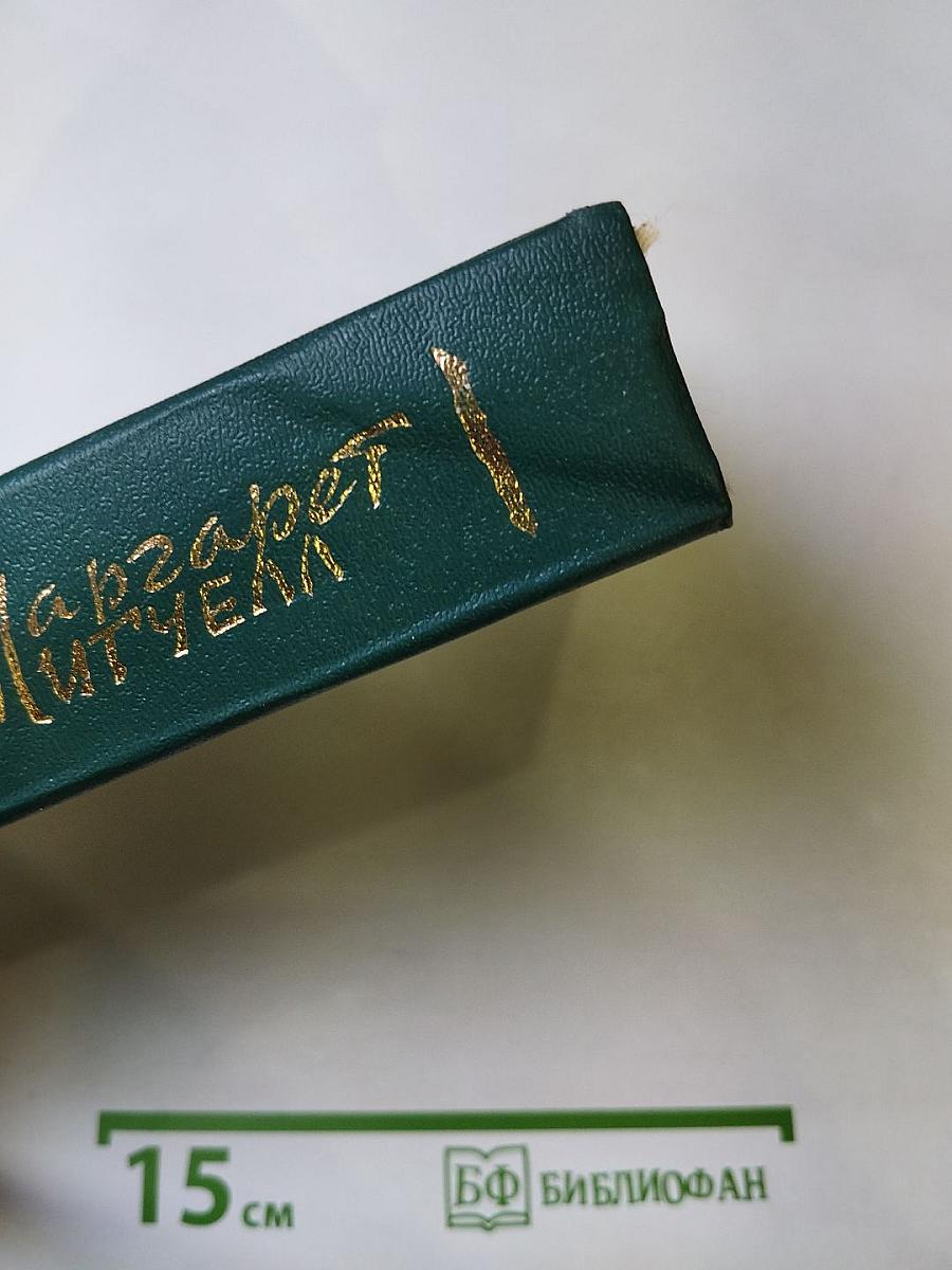 Унесенные ветром. Том 1