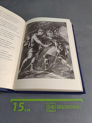 Витязь в тигровой шкуре