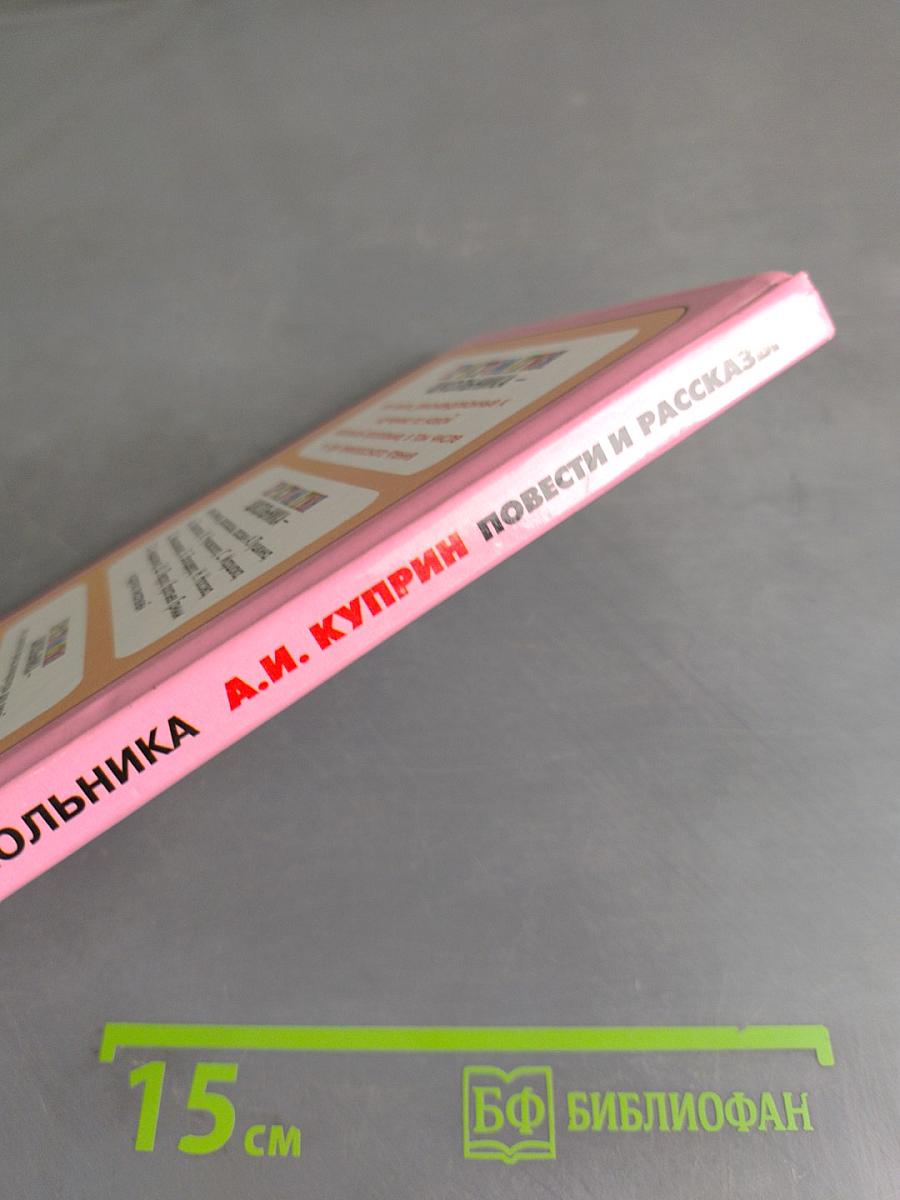 Хрестоматия школьника. Повести и рассказы