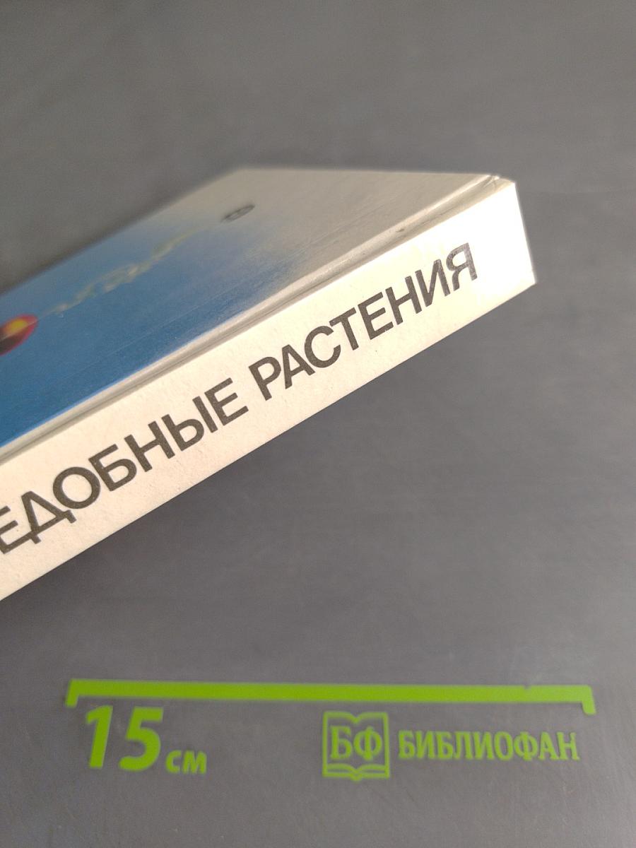 Дикорастущие съедобные растения