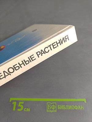 Дикорастущие съедобные растения