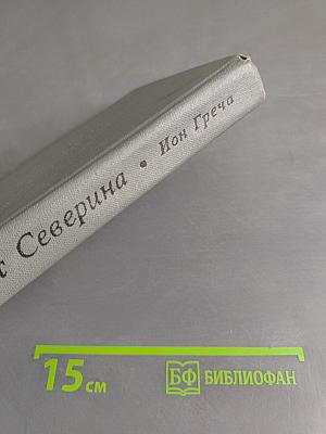 У ворот Северина