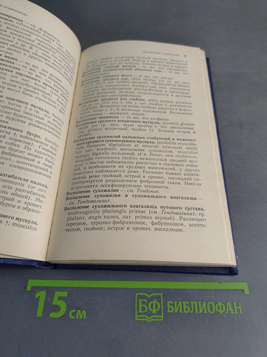 Словарь ветеринарных хирургических терминов