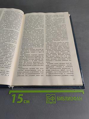 Приусадебное кролиководство