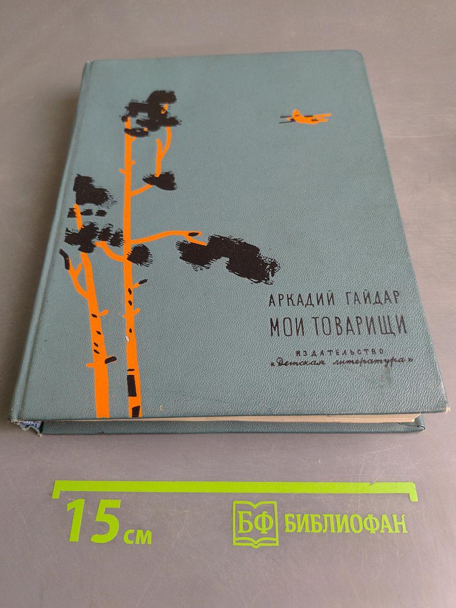 Мои товарищи