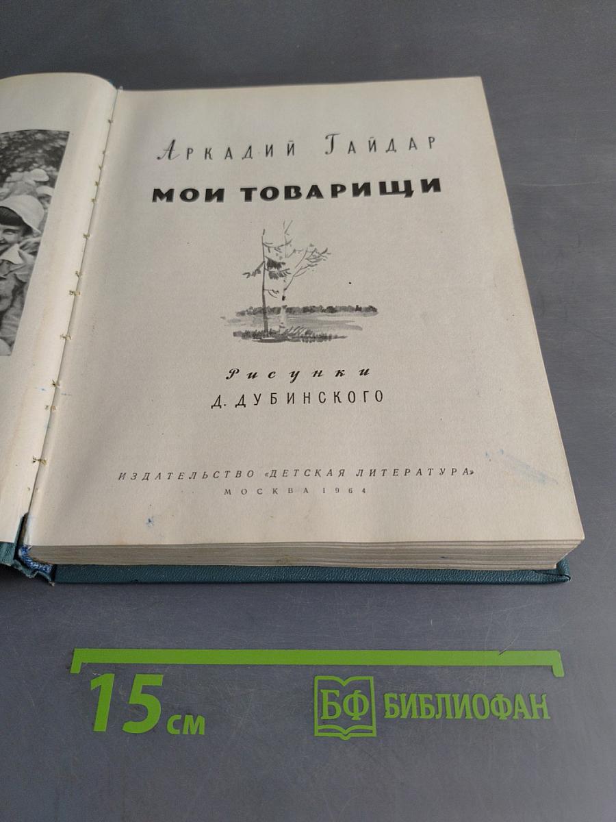 Мои товарищи