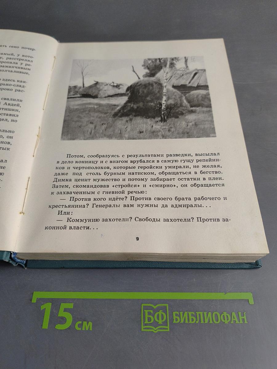 Мои товарищи