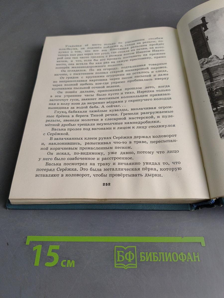 Мои товарищи