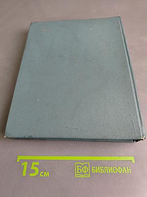 Мои товарищи