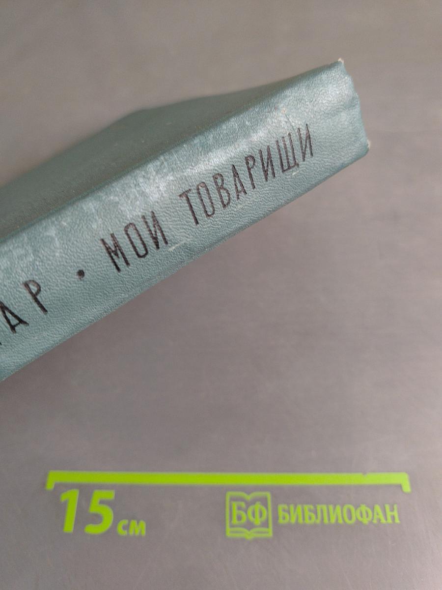 Мои товарищи