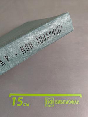 Мои товарищи