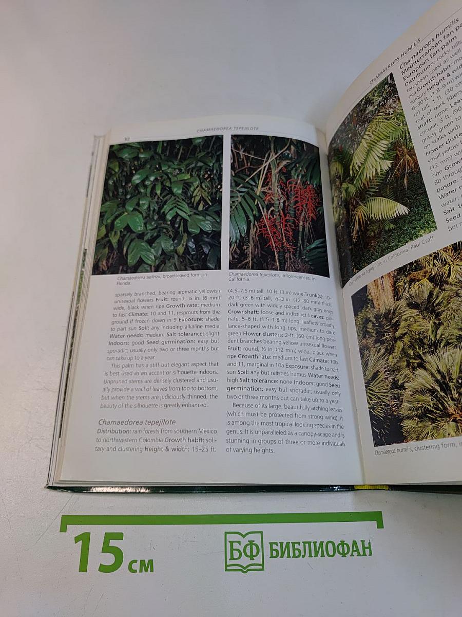 Timber Press Pocket Guide to Palms