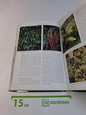 Timber Press Pocket Guide to Palms