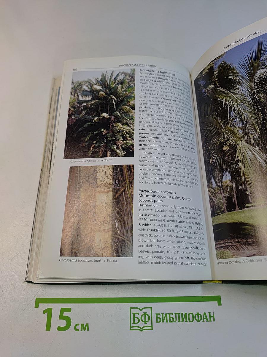 Timber Press Pocket Guide to Palms