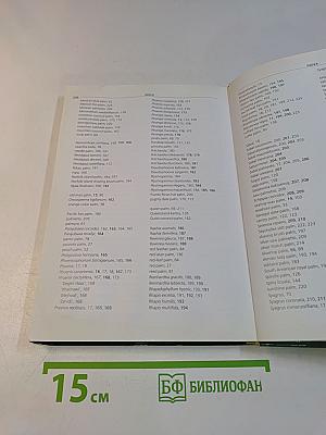 Timber Press Pocket Guide to Palms