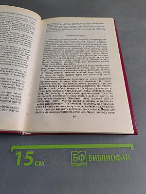 Домашний врачебник