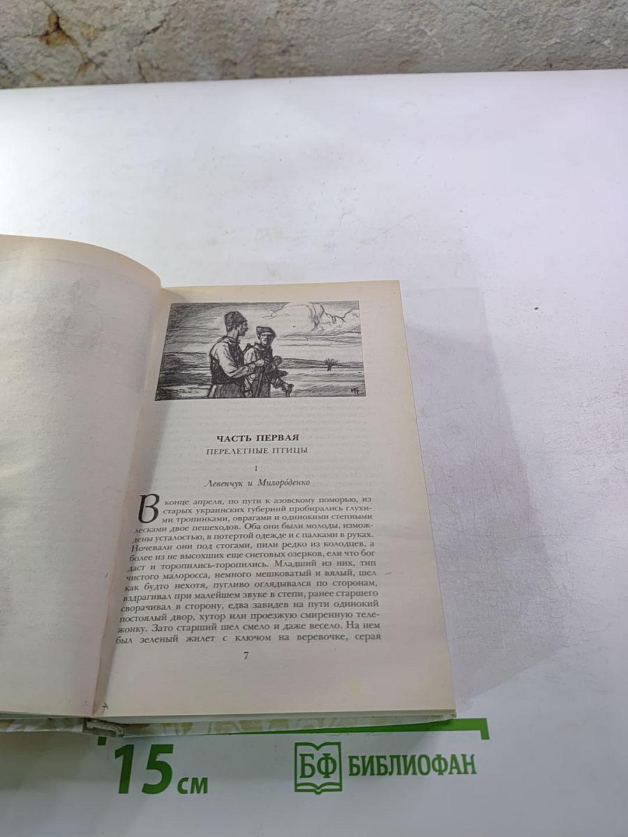 Г.П. Данилевский. Беглые в Новороссии. Воля. Княжна Тараканова