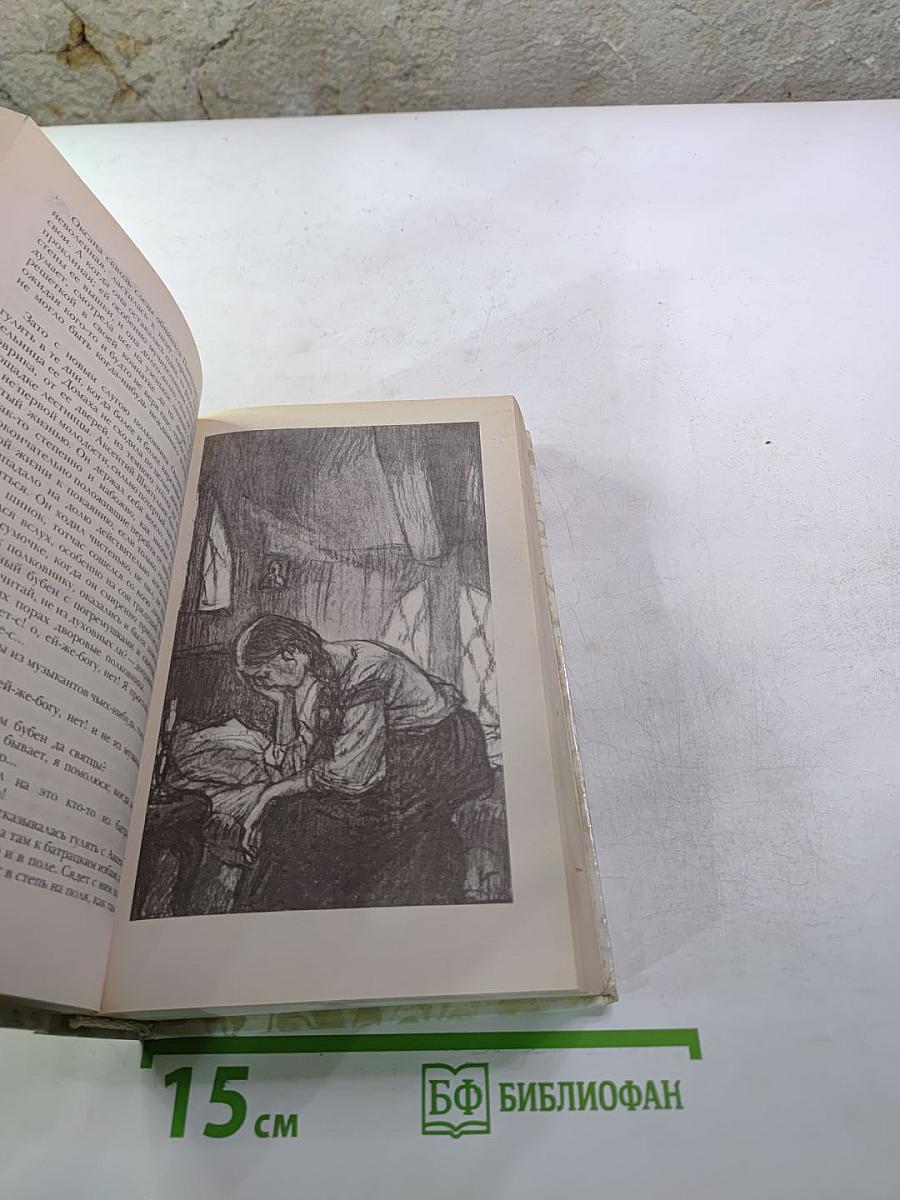 Г.П. Данилевский. Беглые в Новороссии. Воля. Княжна Тараканова