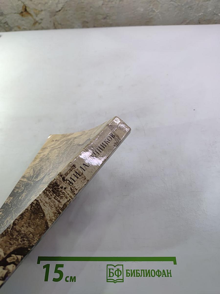 Последний Новик