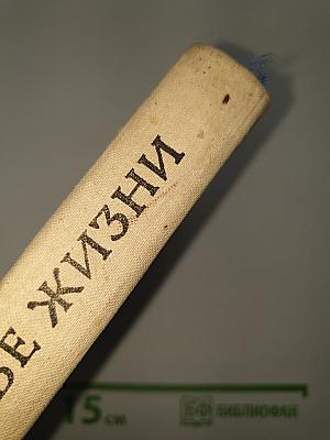 Две жизни