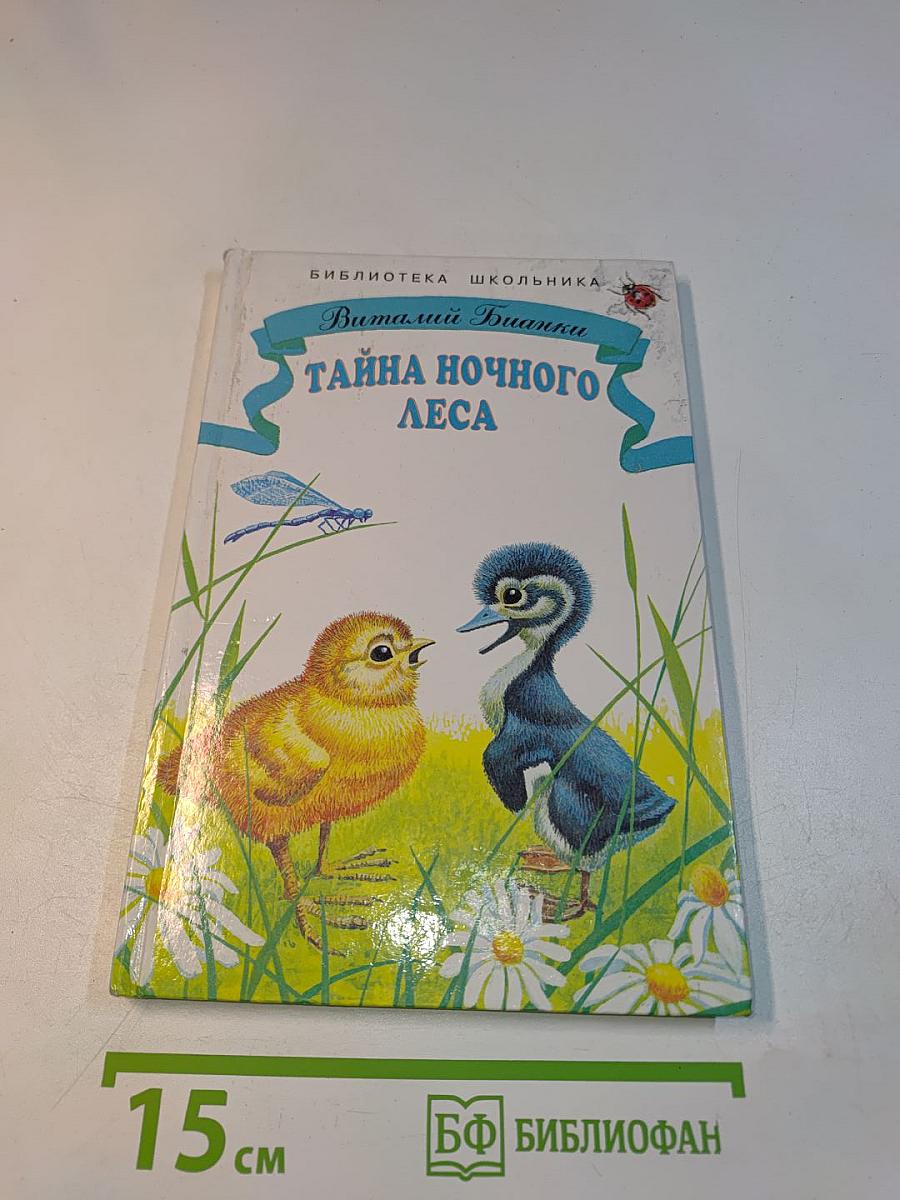 Тайна ночного леса