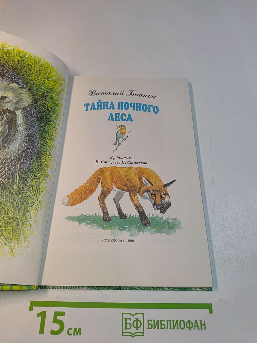 Тайна ночного леса