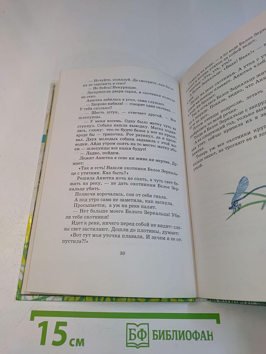 Тайна ночного леса