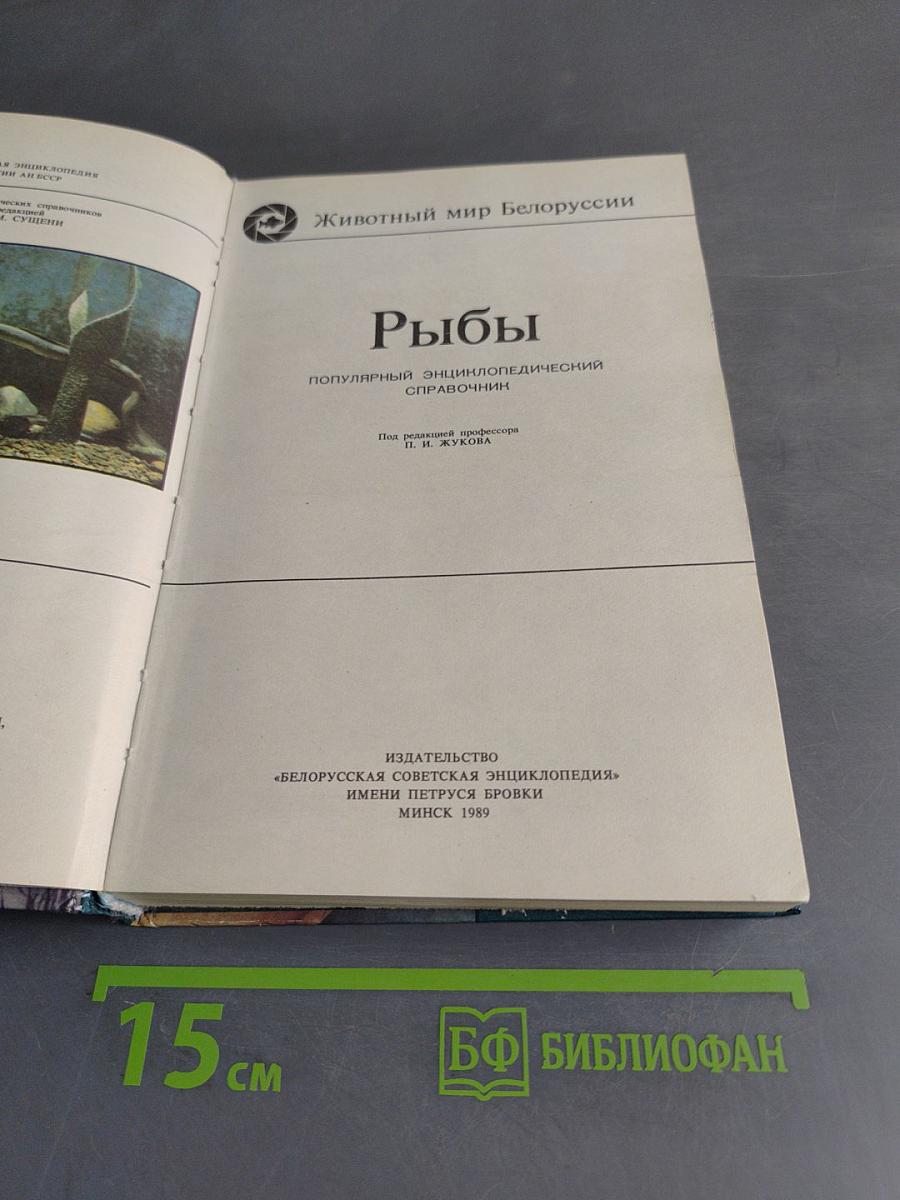 Рыбы
