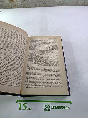 Октябрьские зори