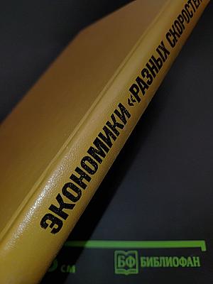 Экономики «разных скоростей»