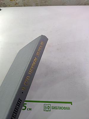 В сто первом зеркале (Анна Ахматова)