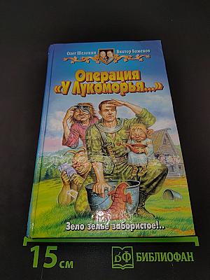 Операция «У Лукоморья...»