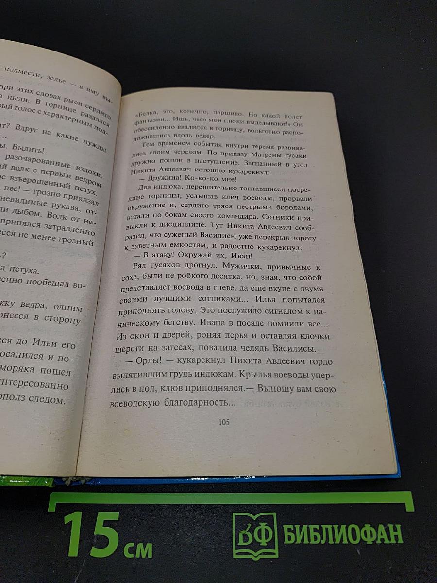 Операция «У Лукоморья...»