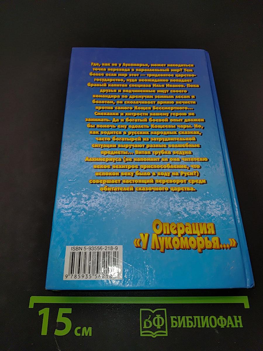 Операция «У Лукоморья...»