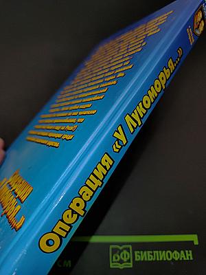 Операция «У Лукоморья...»