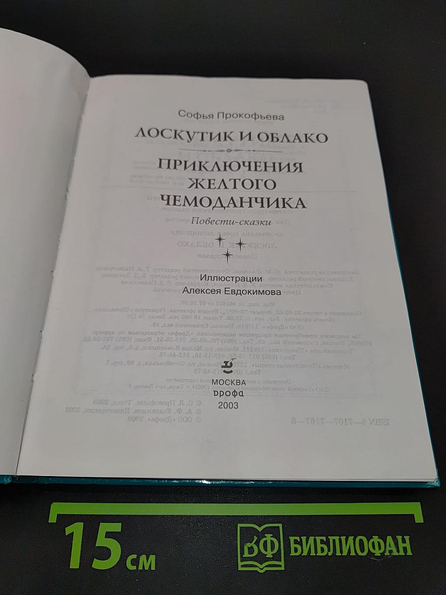 Лоскутик и облако. Приключения желтого чемоданчика
