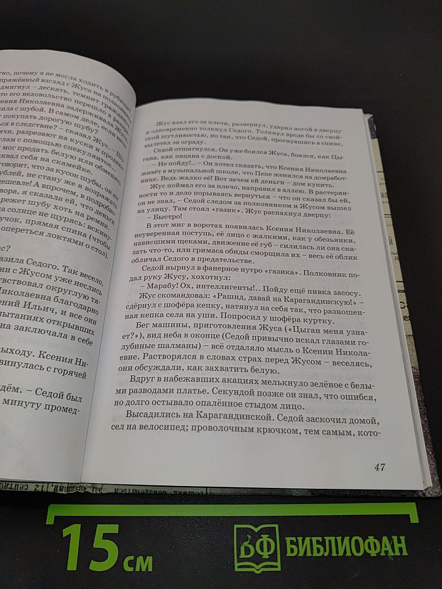 Отрочество архитектора Найдёнова