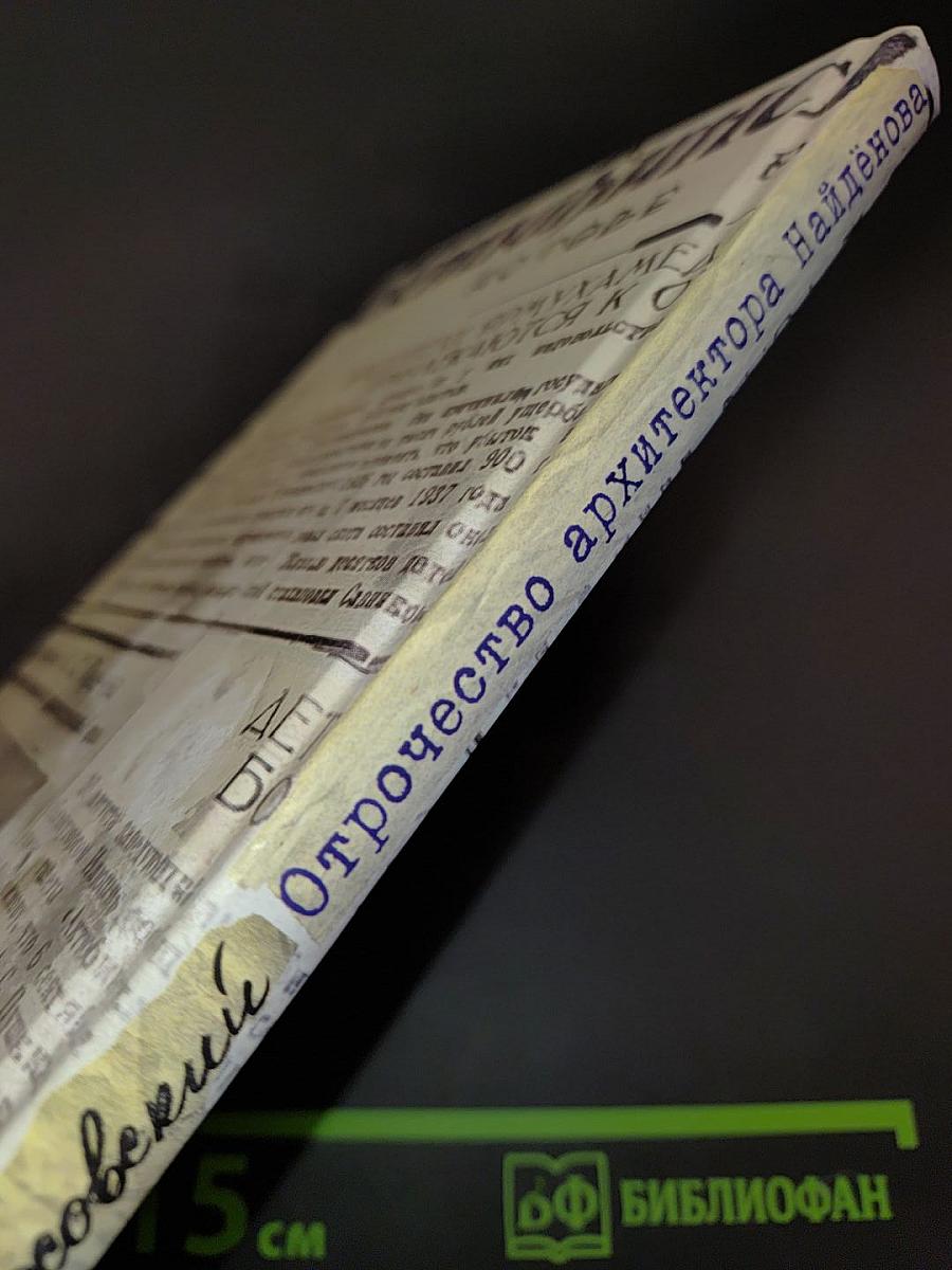 Отрочество архитектора Найдёнова