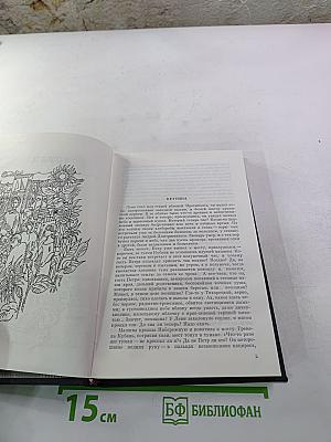 Новый Посол